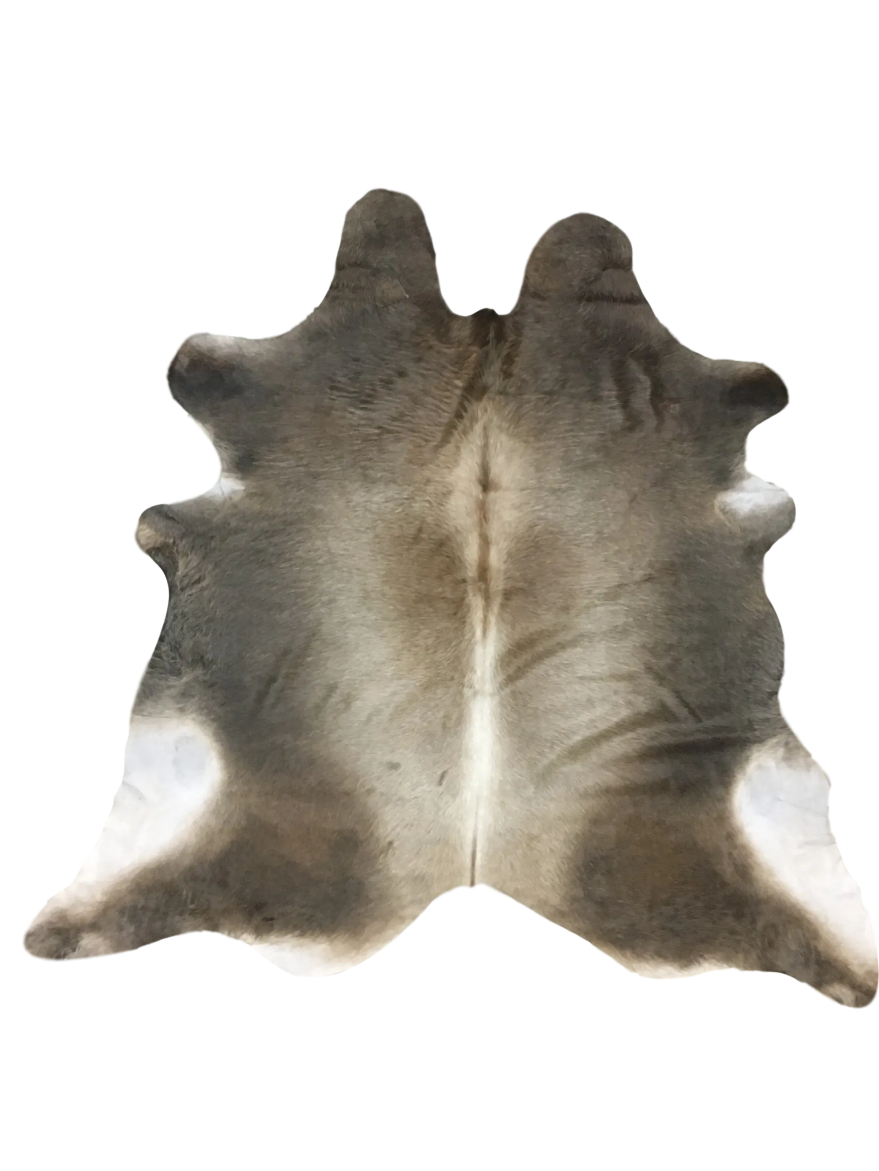 Nelore Premium Brazilian Hide, XL CH70N SD