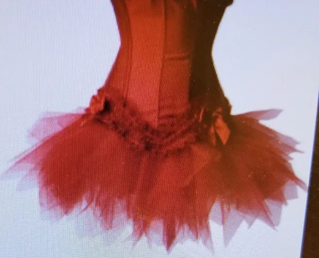Red Corset Top With Matching Ruffle Skirt