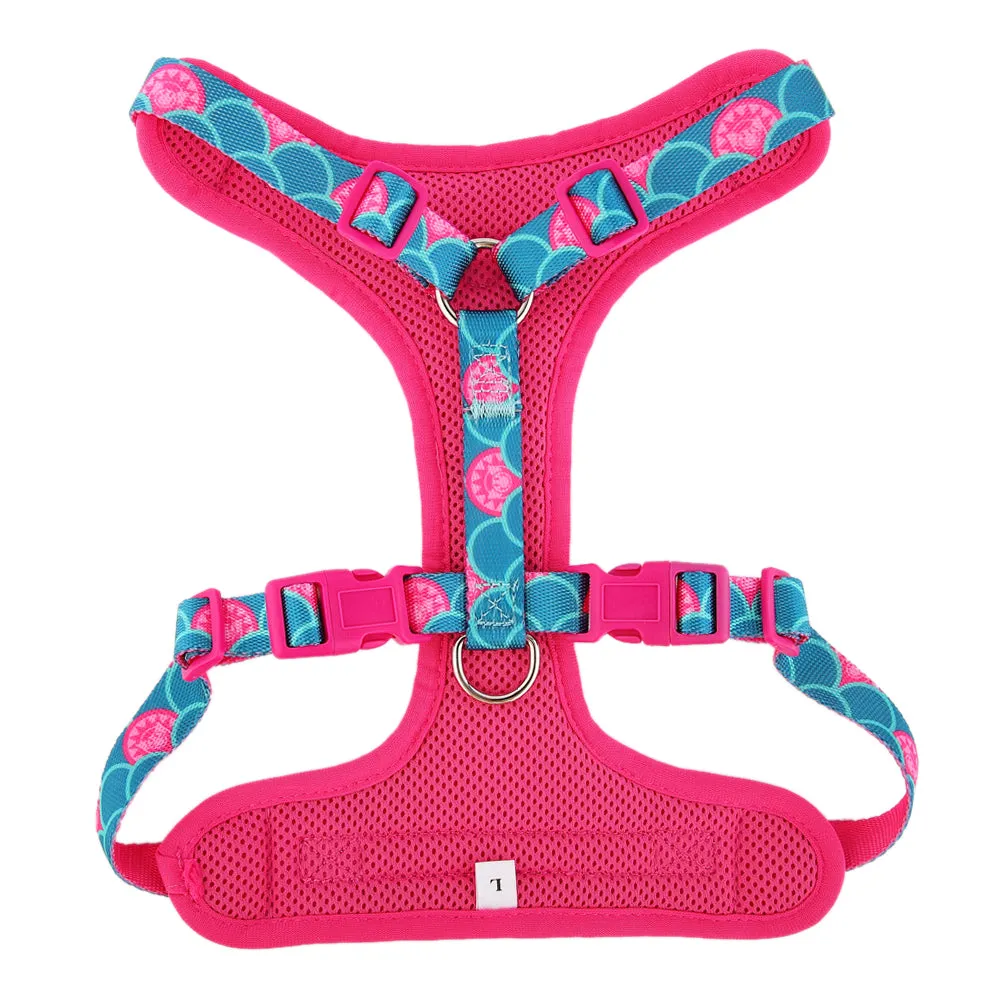 Sunshine Expressions Dog Harness | "You are my Sunshine" Collection
